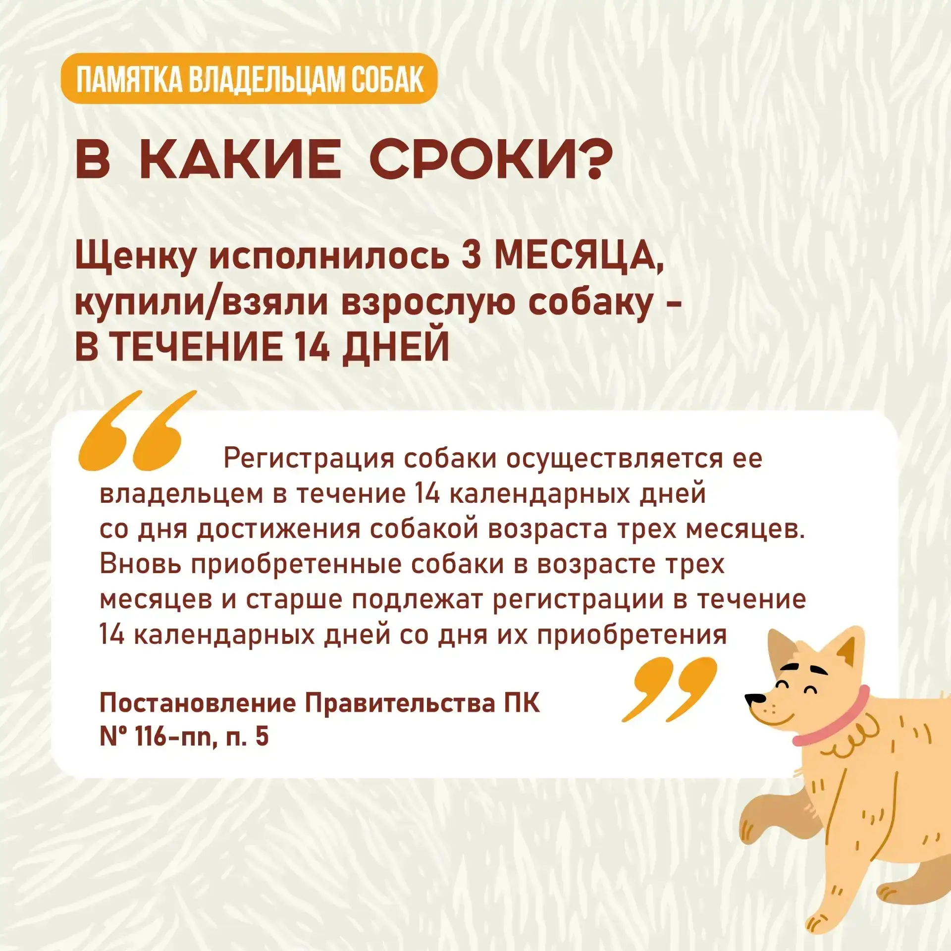 А у вас дома живет собака? Тогда вам нужно ее зарегистрировать!  ‼️Процедура обязательна вне зависим