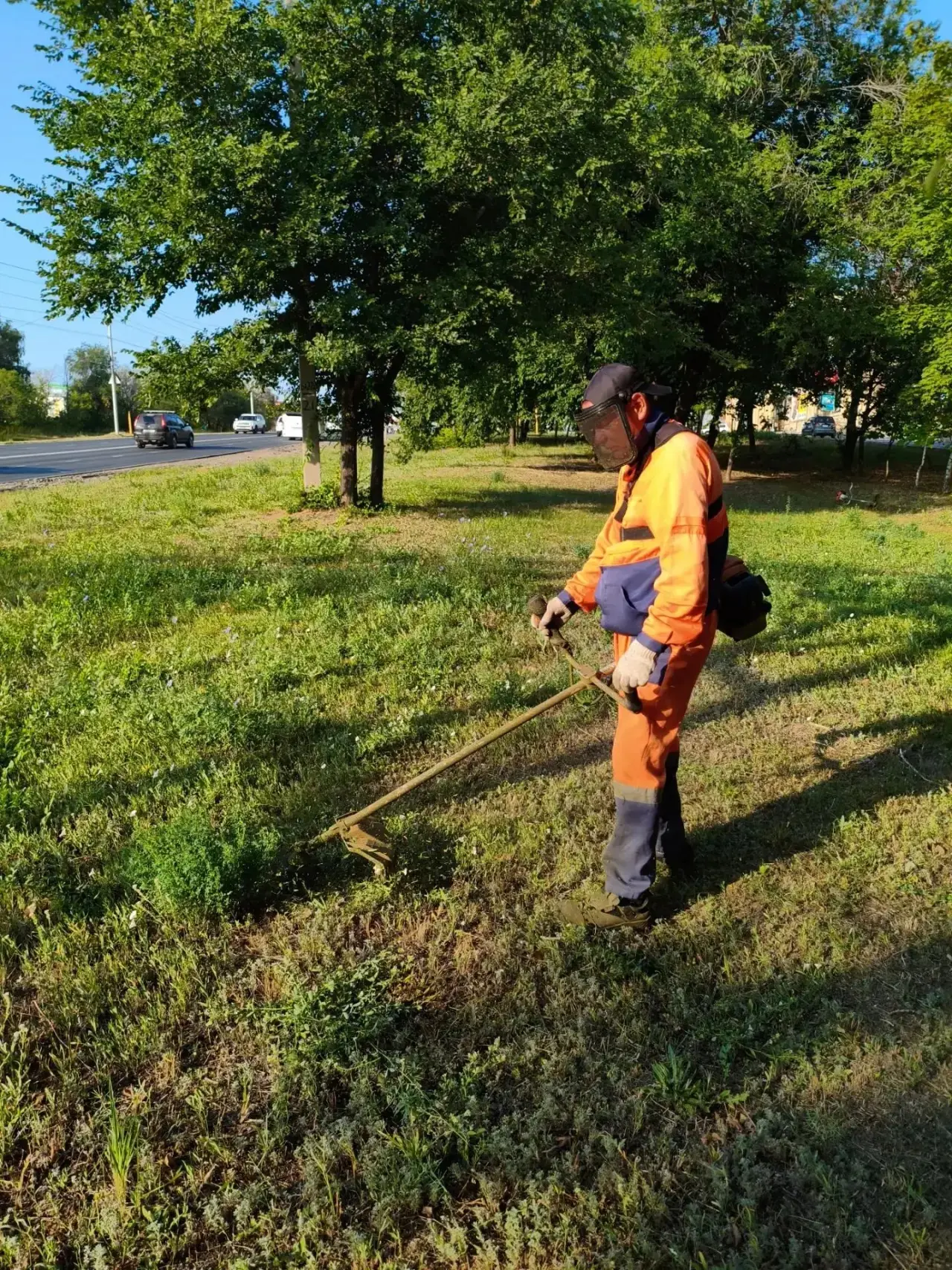 ➡️Работы по благоустройству продолжаются 

 🌱Сотрудники коммунальной службы продолжают содержание о