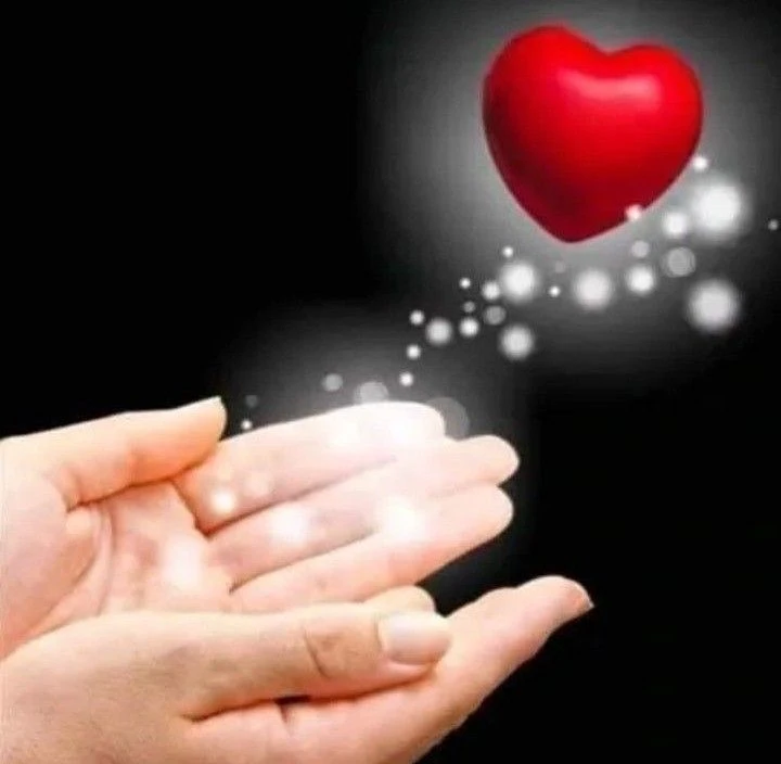 🌹Радость в Каждом Дне

🕊️Спасибо за реакции♥️
