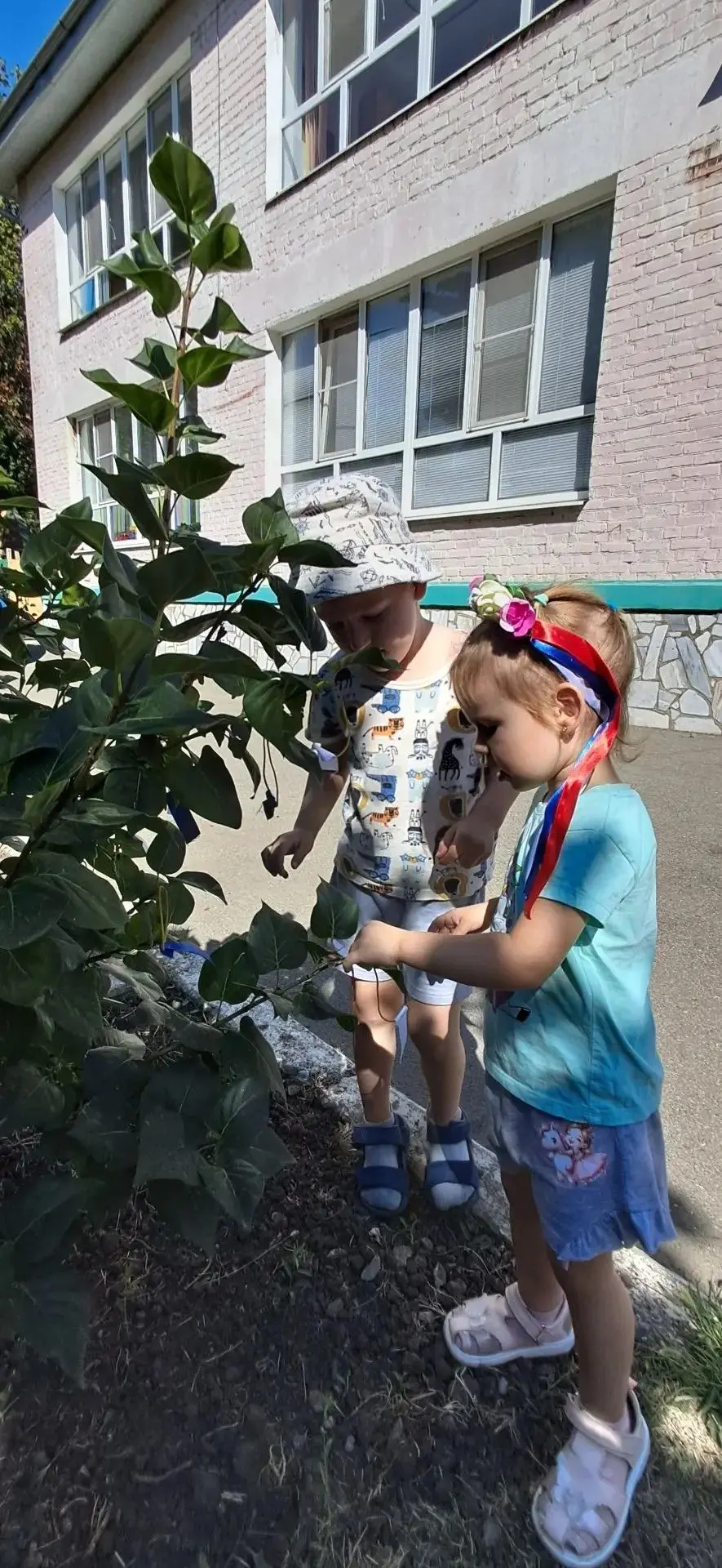 🇷🇺 Дерево дружбы в цветах триколора! ❤️🤍💙