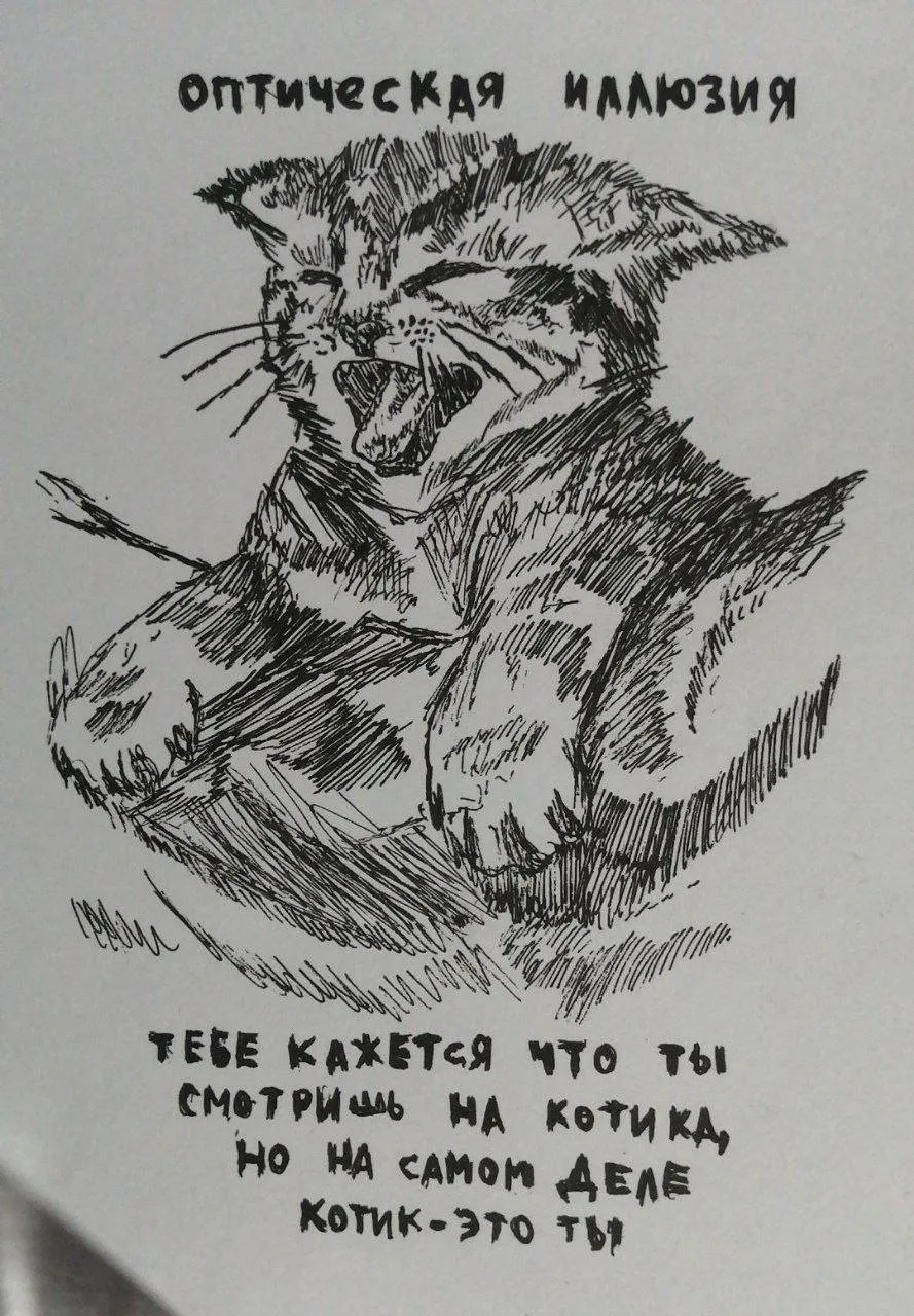 Все наши каналы