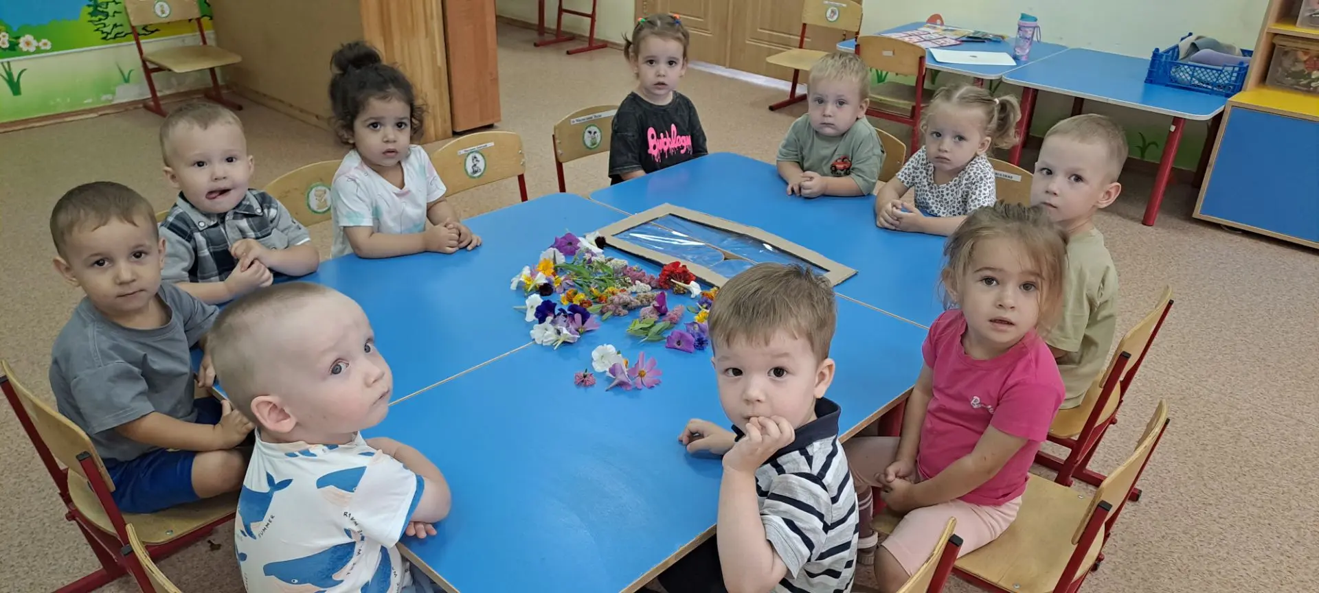 Летняя фантазия: панно из живых цветов  на скотче! 🎨🌹🌷🥀🪻🪷🌺🌸 Вдохновлённые красотой природы, 