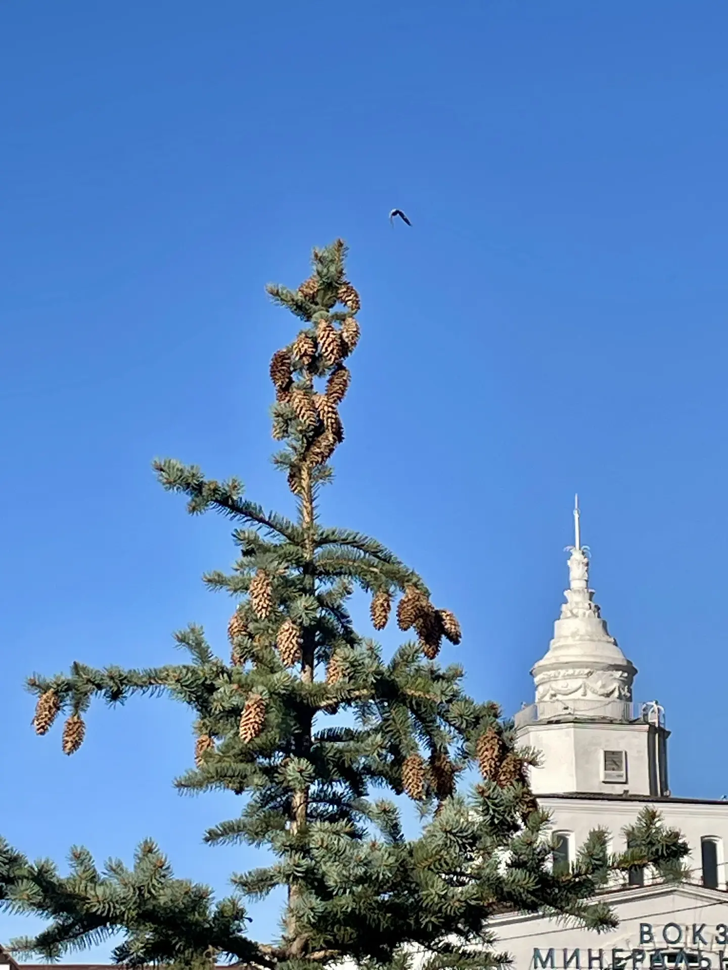 Солнце. Сентябрь. Сегодня.
