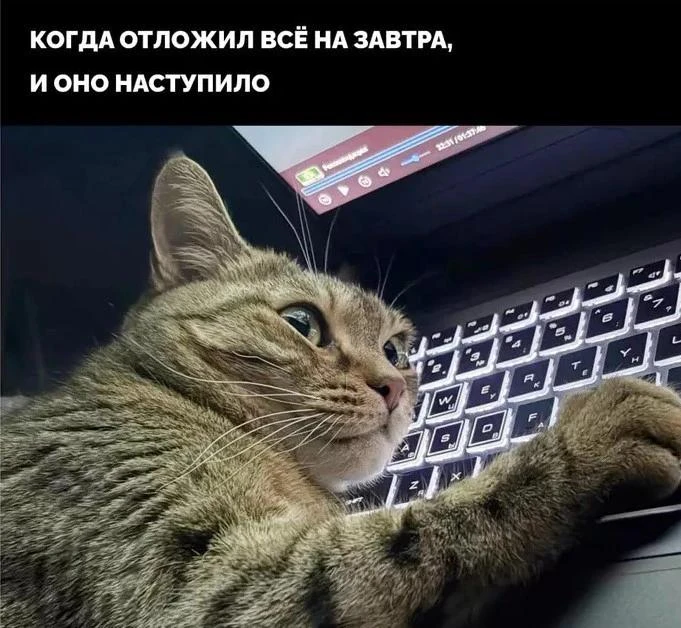 ЭФФЕКТ СВЕЖЕГО СТАРТА