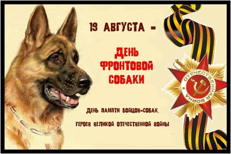 День фронтовой собаки.