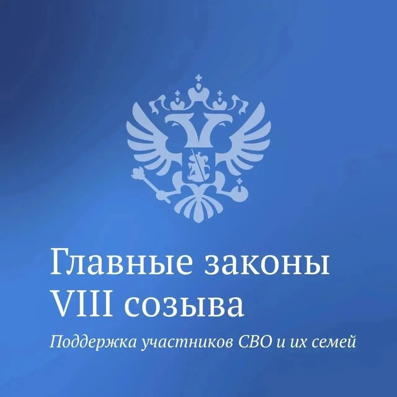 Новая часть главных законов VIII созыва посвящена поддержке участников СВО и членов их ...