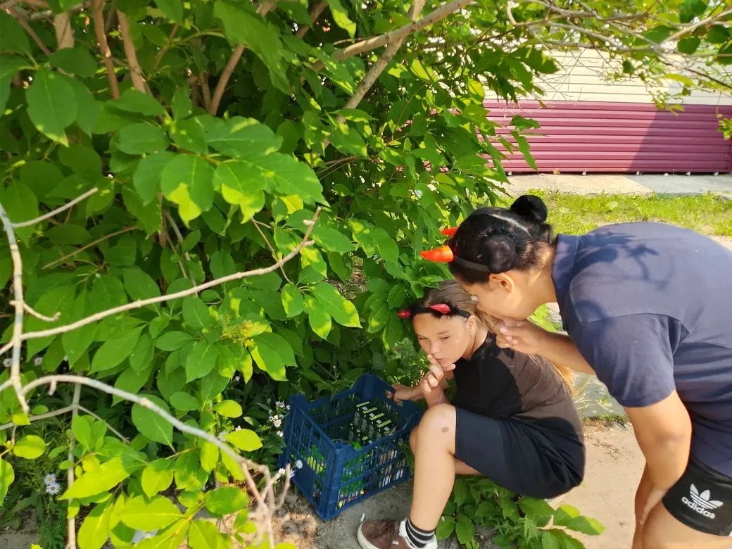 ☀️ День, полный тепла и улыбок в нашем лагере! ☀️

Сегодня у нас особенный повод для радости — День 