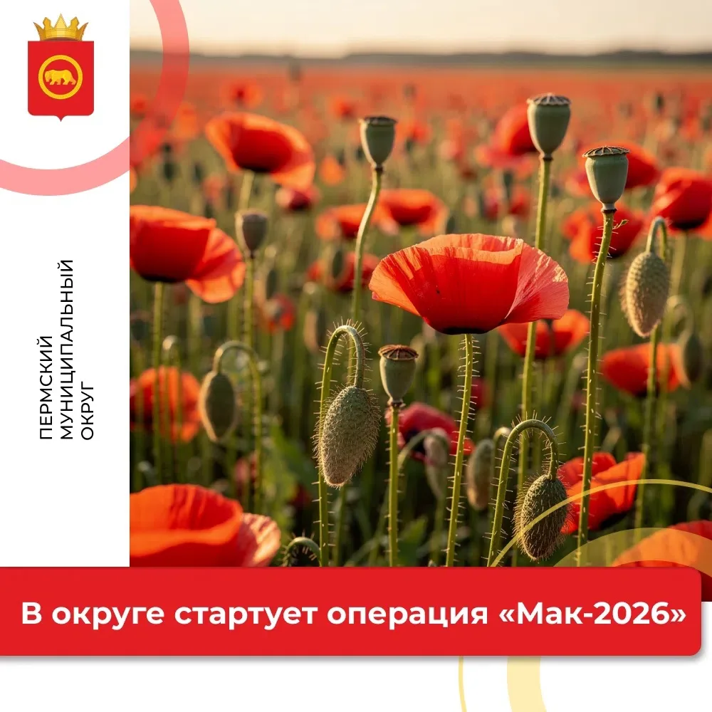 ⚡В округе стартует операция «Мак-2026»