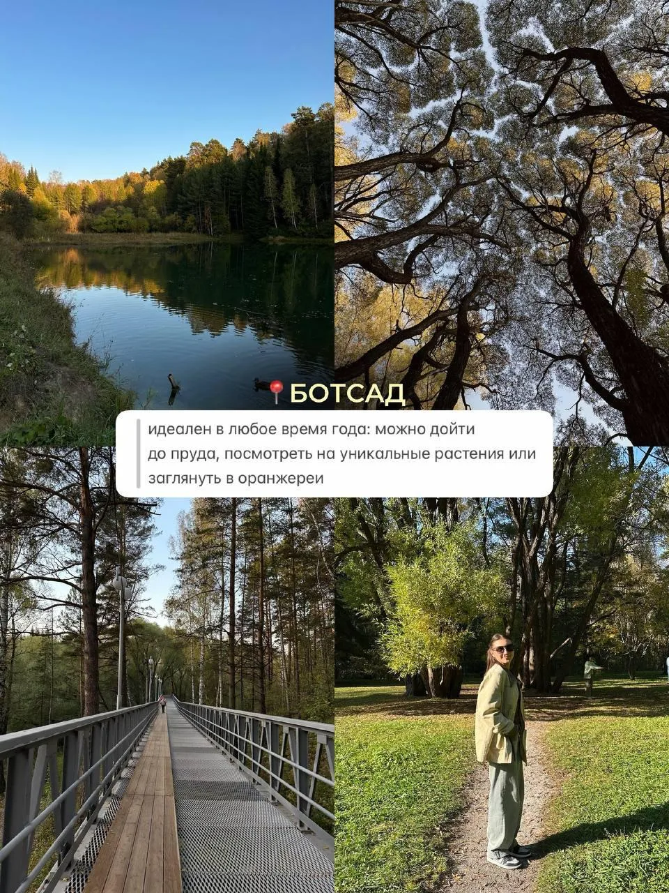 📌 8 мест, где погулять в Новосибирске