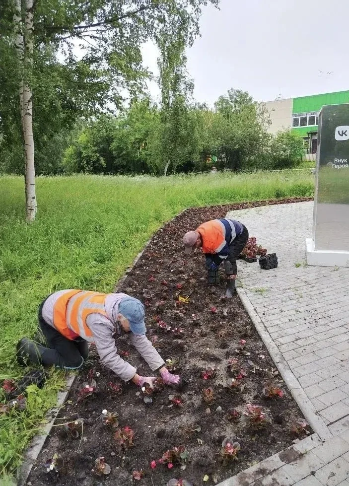 Продолжаем высаживать цветы в любимом городе! 🌺

На этой неделе специалисты высадили петунию, сальв