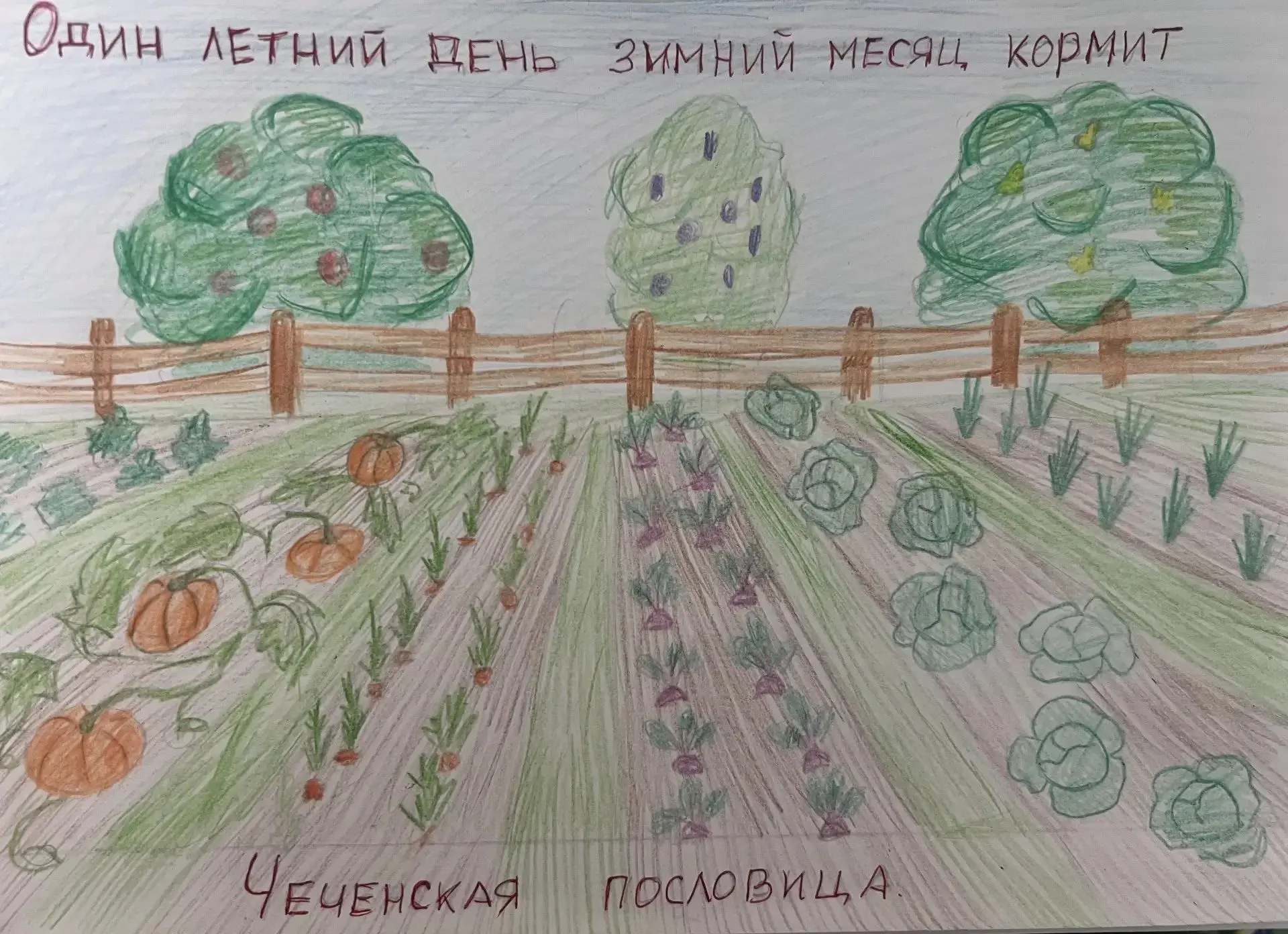 «Рисуем пословицы»: творческий проект пятиклассников