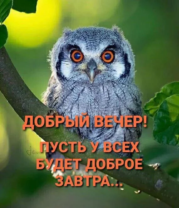 Поздравления на каждый день 🎁

Тёплые открытки • Подпишись