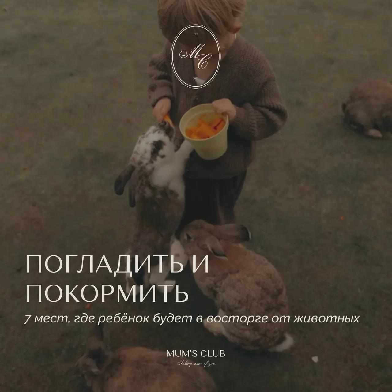 7 мест, где ребёнок будет в восторге от животных