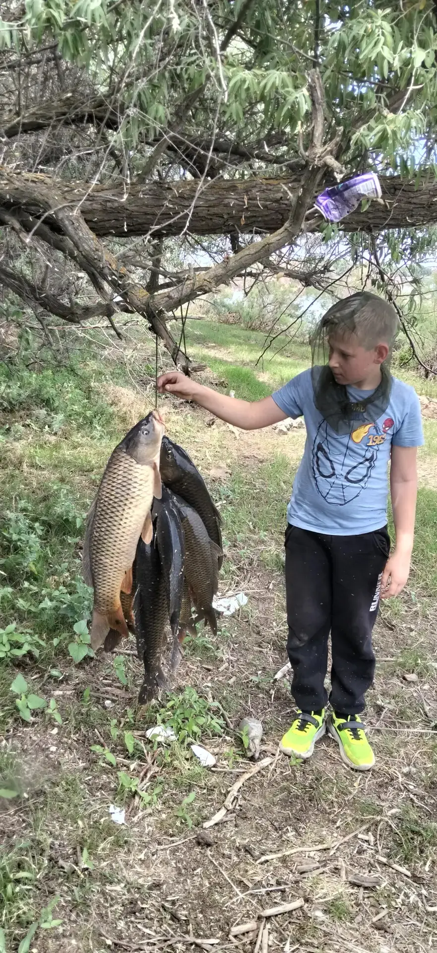 На Берекете опять раздача сазана.👍