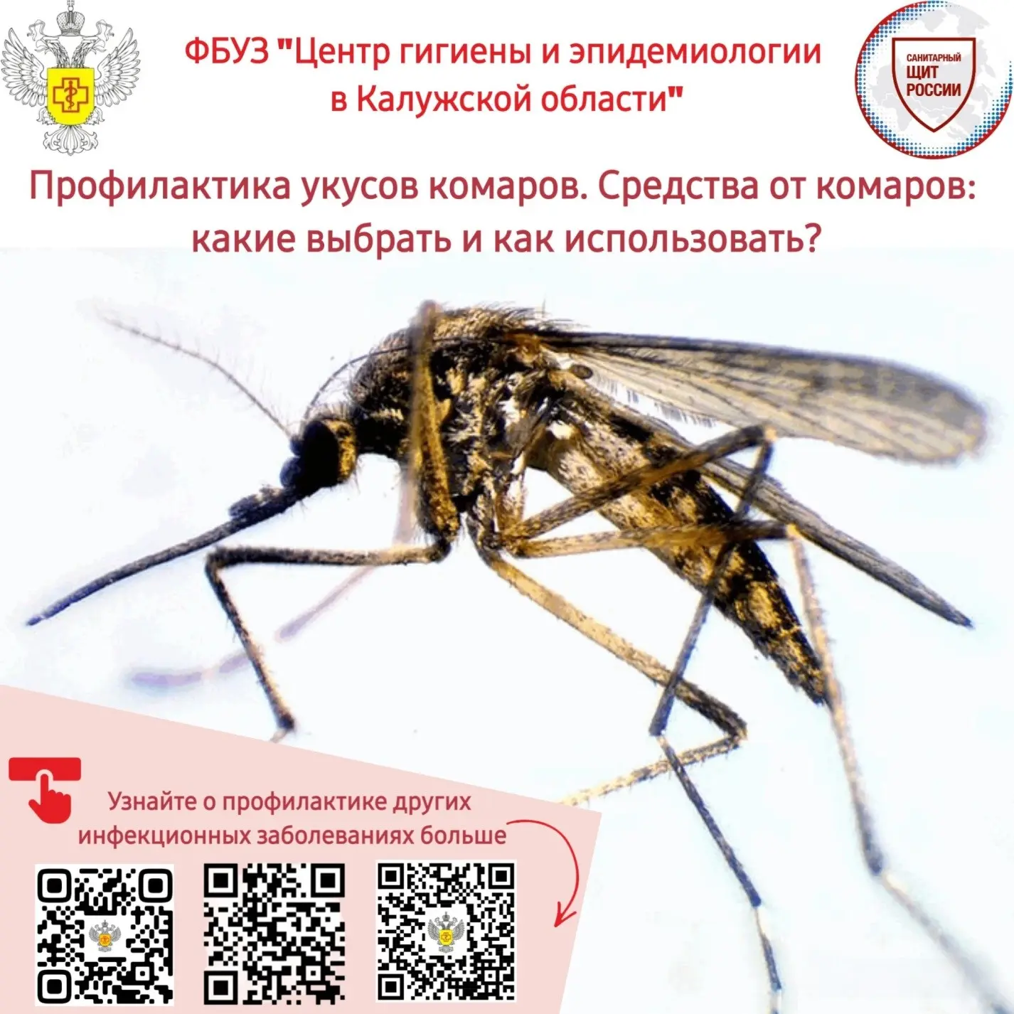 Кровососущие комары – одна из известных групп свободноживущих эктопаразитов. Представит...