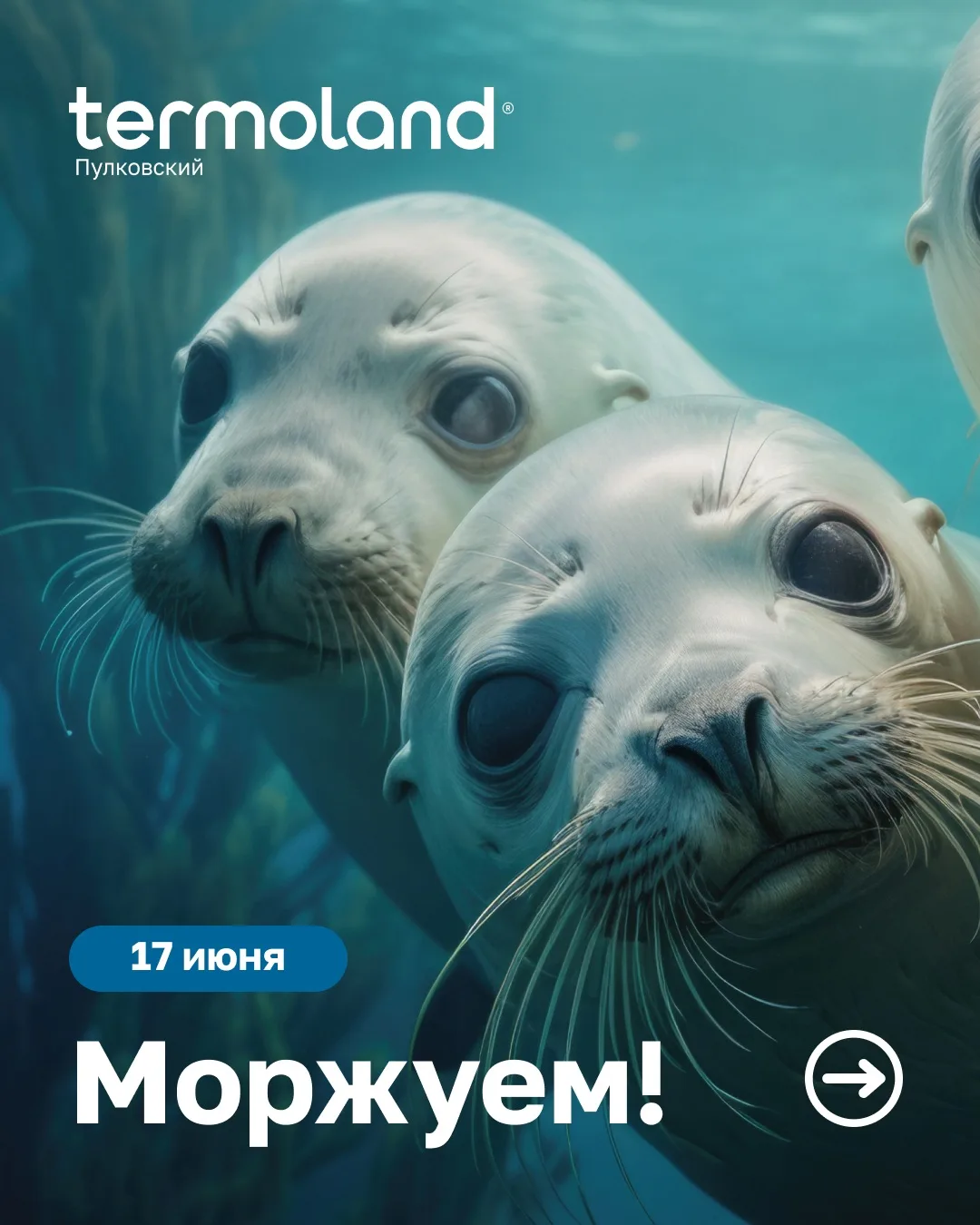 ❗️Дорогие друзья, внимание!

17 июня, в связи с проведением ремонтных работ, будут перебои с горячим