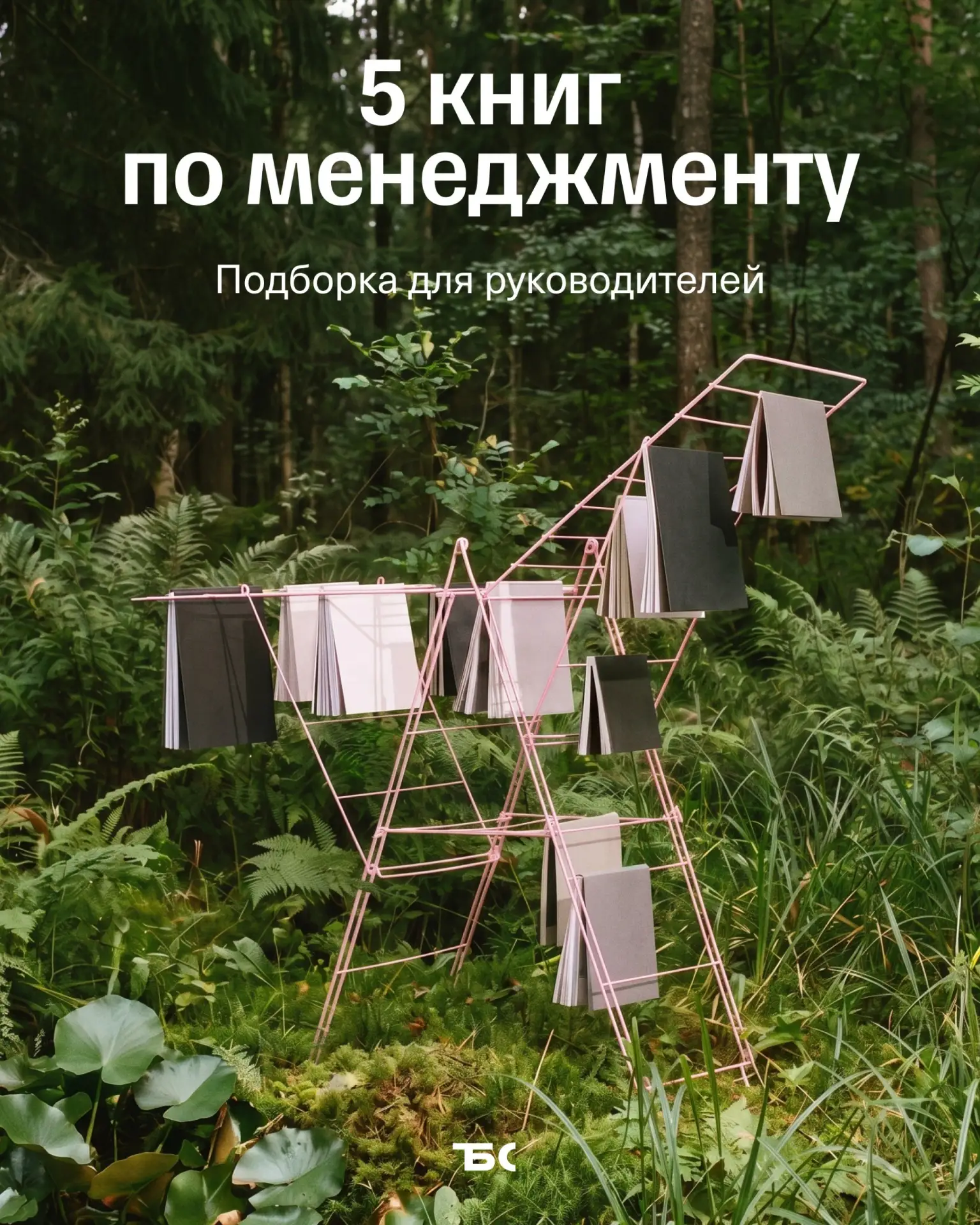 📚 5 книг по менеджменту, которые должен прочитать каждый руководитель