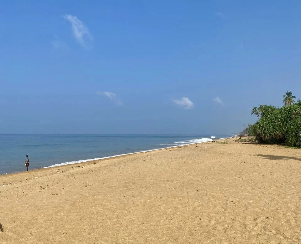 ☀ Шри-Ланка из Екатеринбурга
✈️ Вылет 7 ноября на 11 ночей 

🏨 Club Palm Bay 4* - 149900₽ 
🥭 Питан