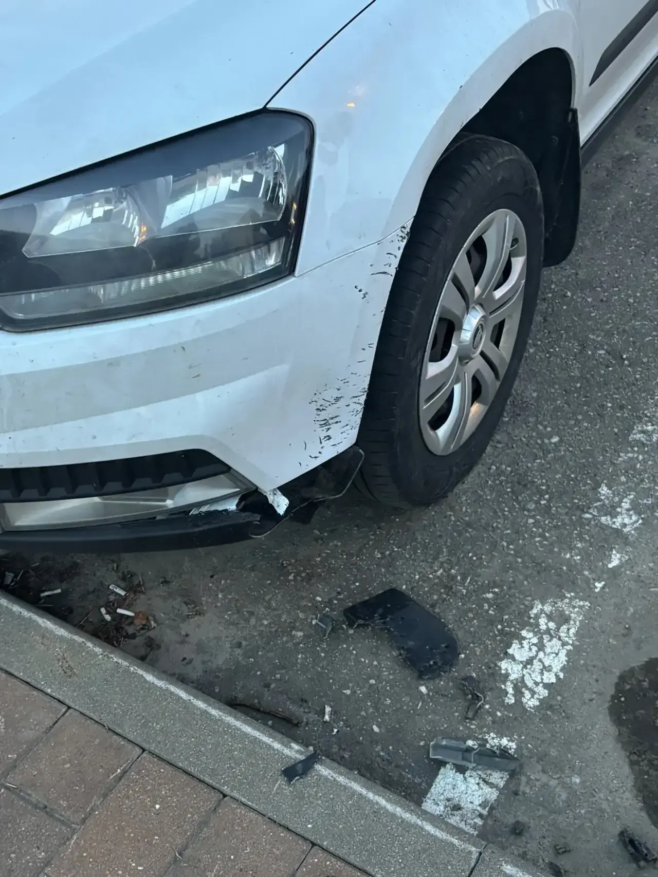 🚘Предупреждение для автомобилистов! 
  Жители  Нового городка, сообщают о стае бродячих собак в пос