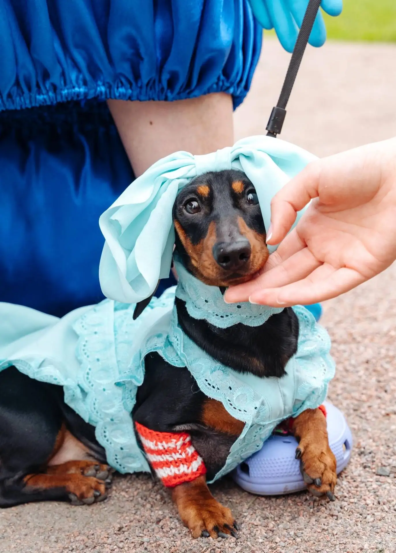 Крупнейший фестиваль домашних животных Petshop Days 🐶

🗓 27-28 июня 12:00-22:00
📍 Приморский парк