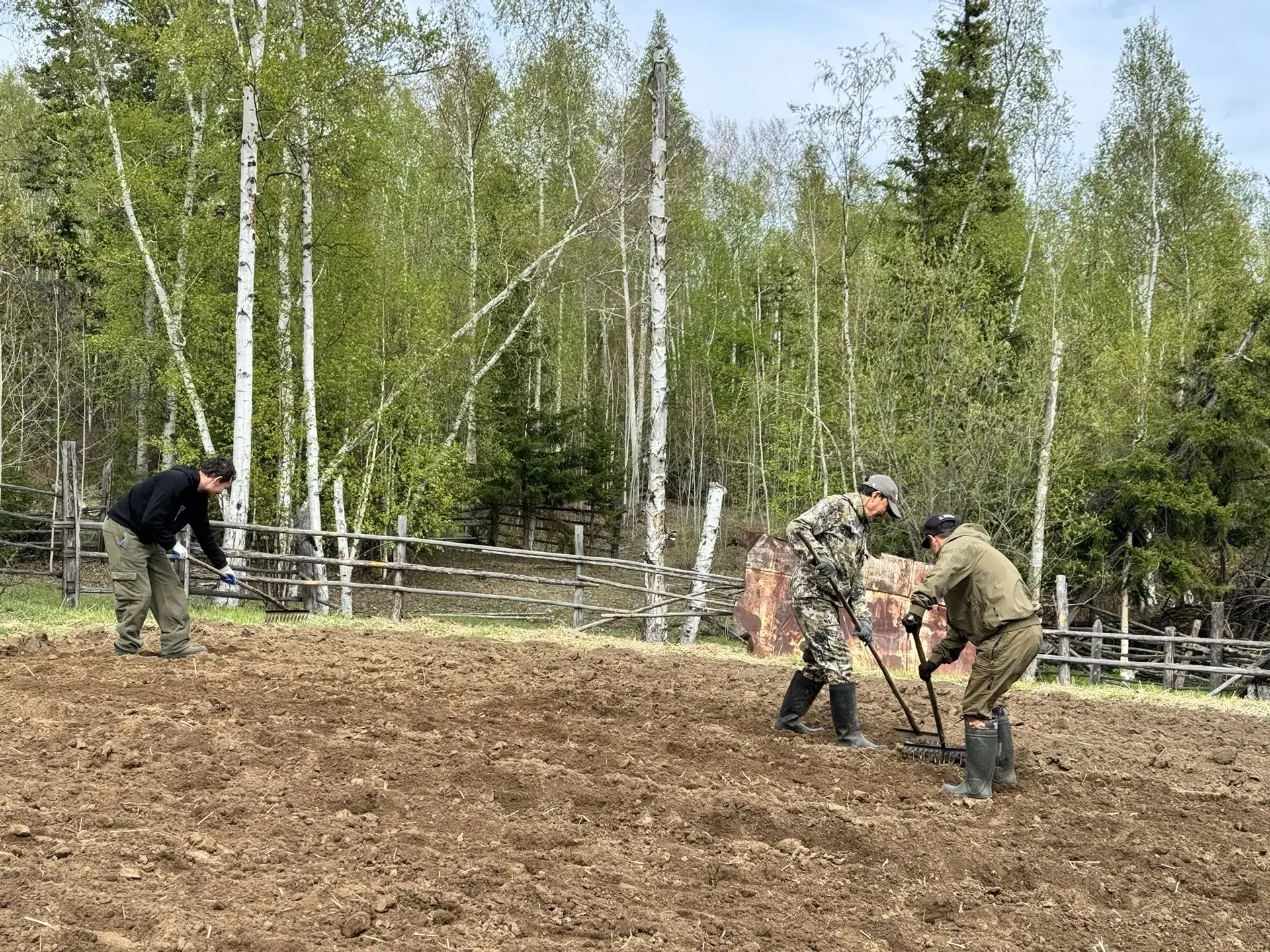 ☀️ Первый день каникул? Нет, первый день на огороде! 🥔

Сегодня мы дружным школьным коллективом отп