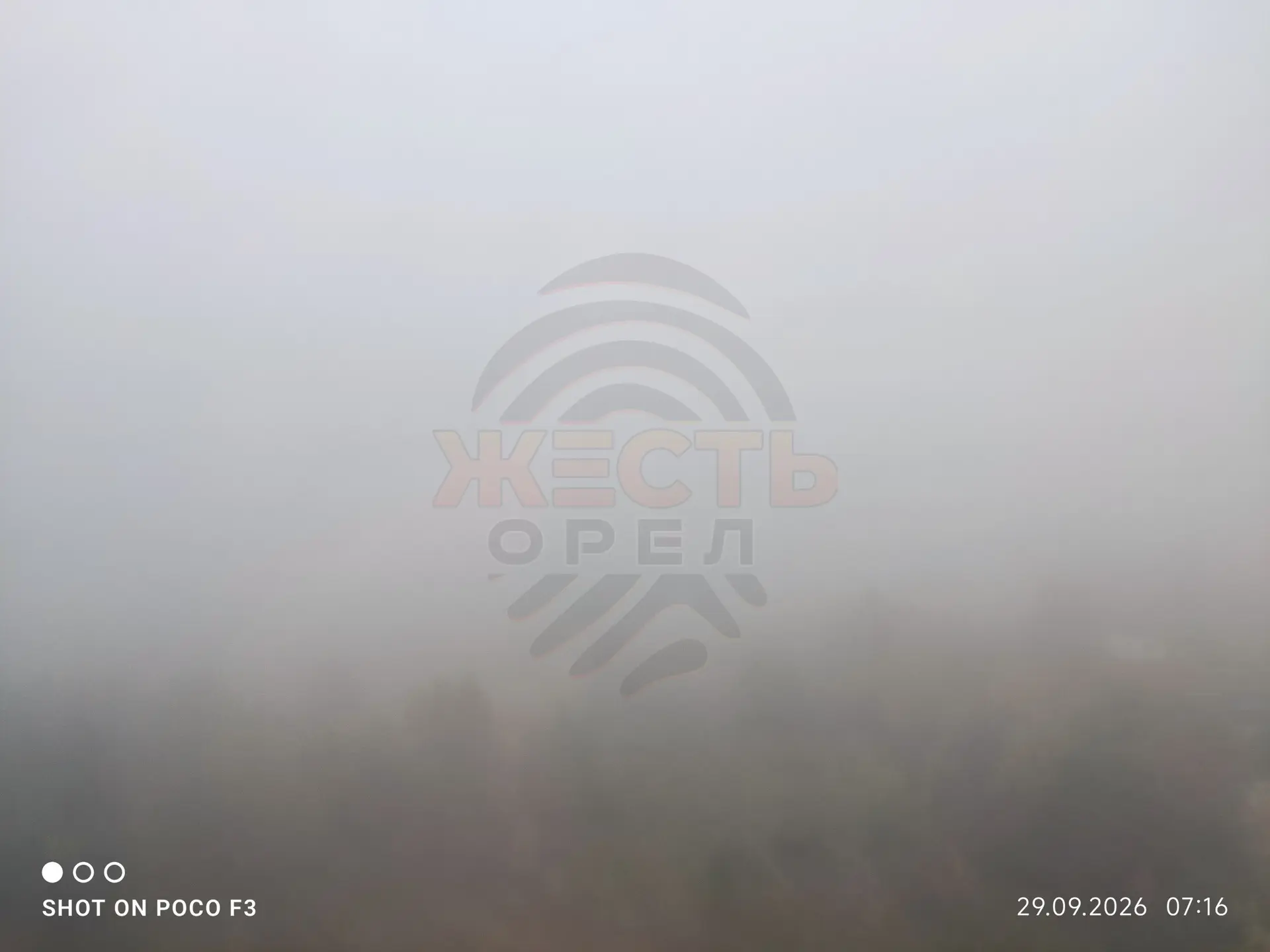 Туманное утро сегодня 😶‍🌫️