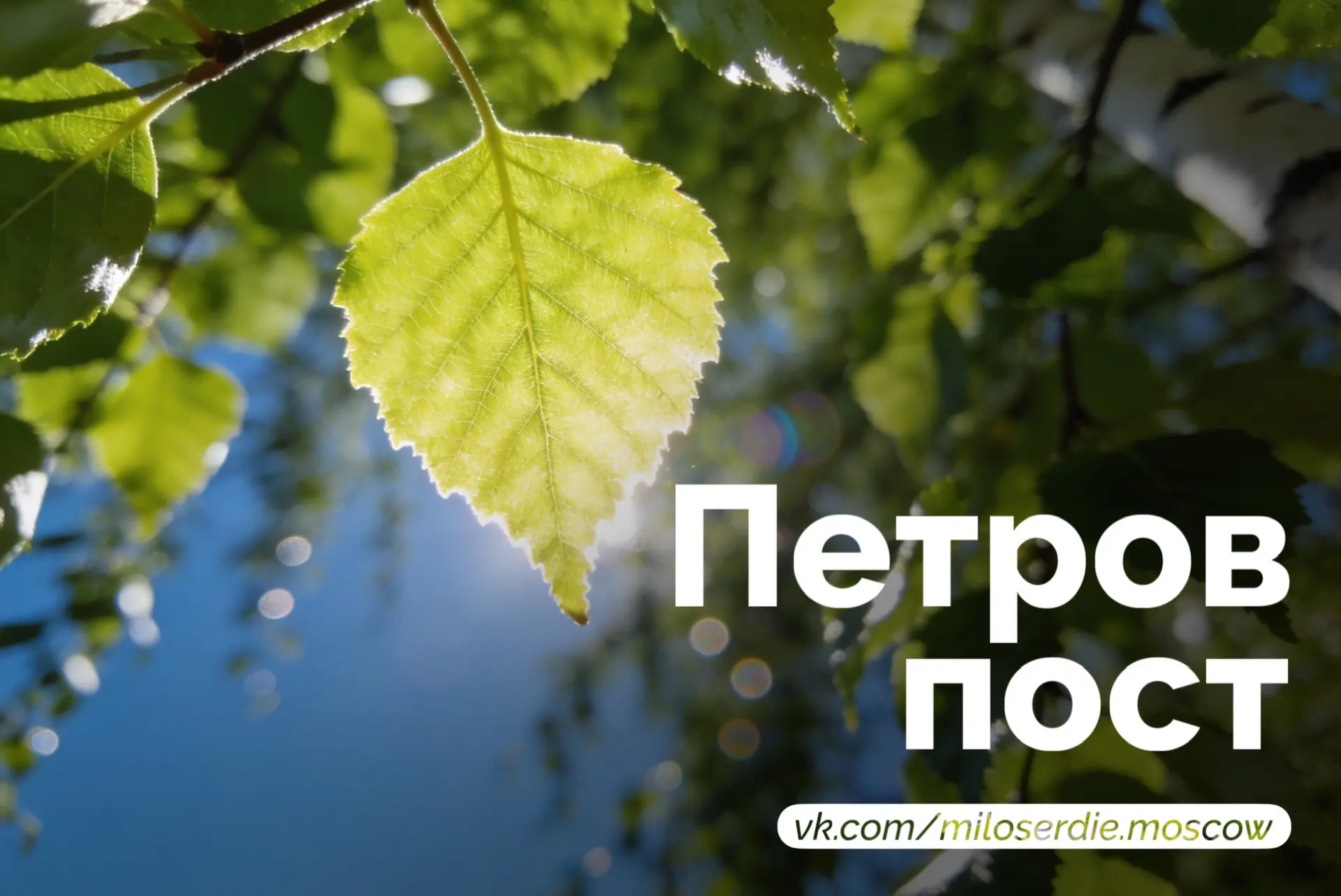 ☀️ С Петровым постом, друзья!

Сегодня, 8 июня, у нас начался Петров пост (также его называют Апосто