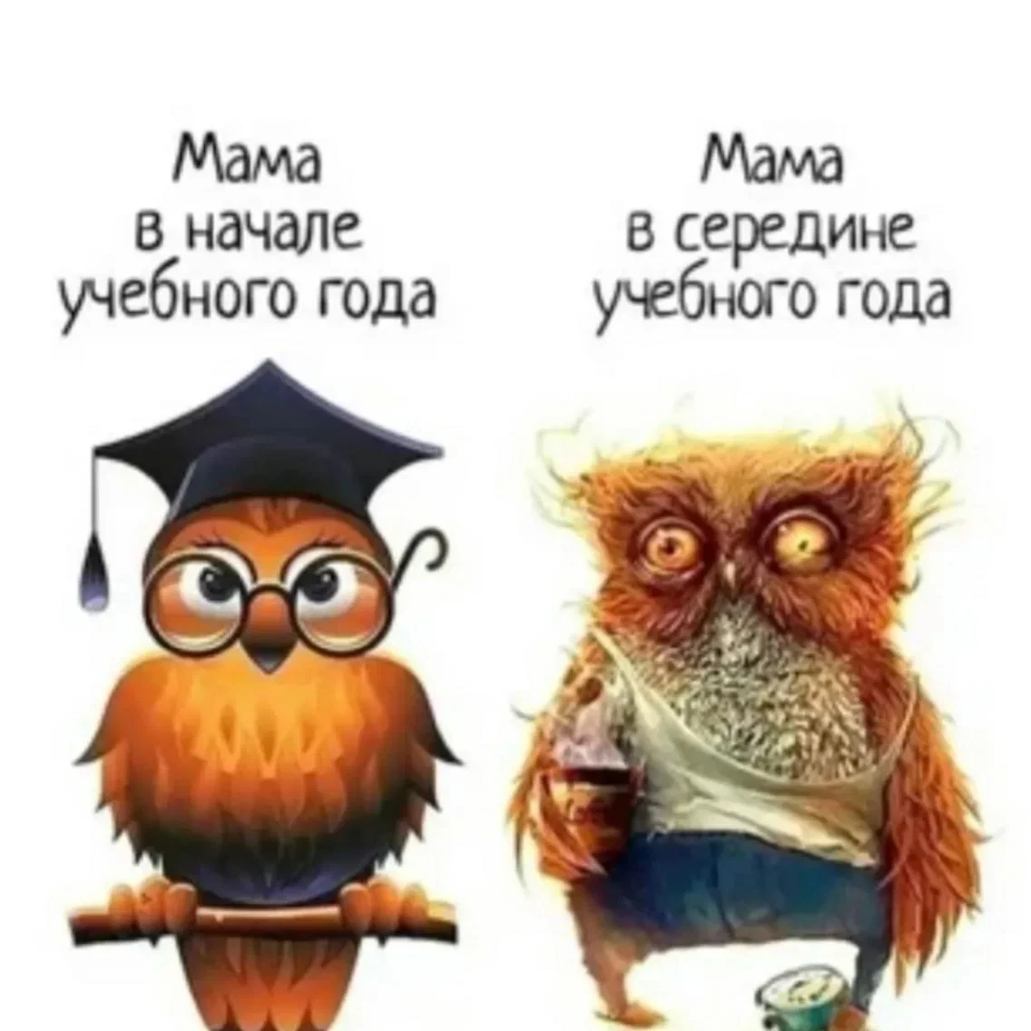 Как пережить 1 сентября без нервов: советы для родителей 🍂
