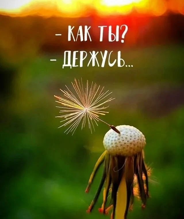 🥰Открытки и поздравления!
