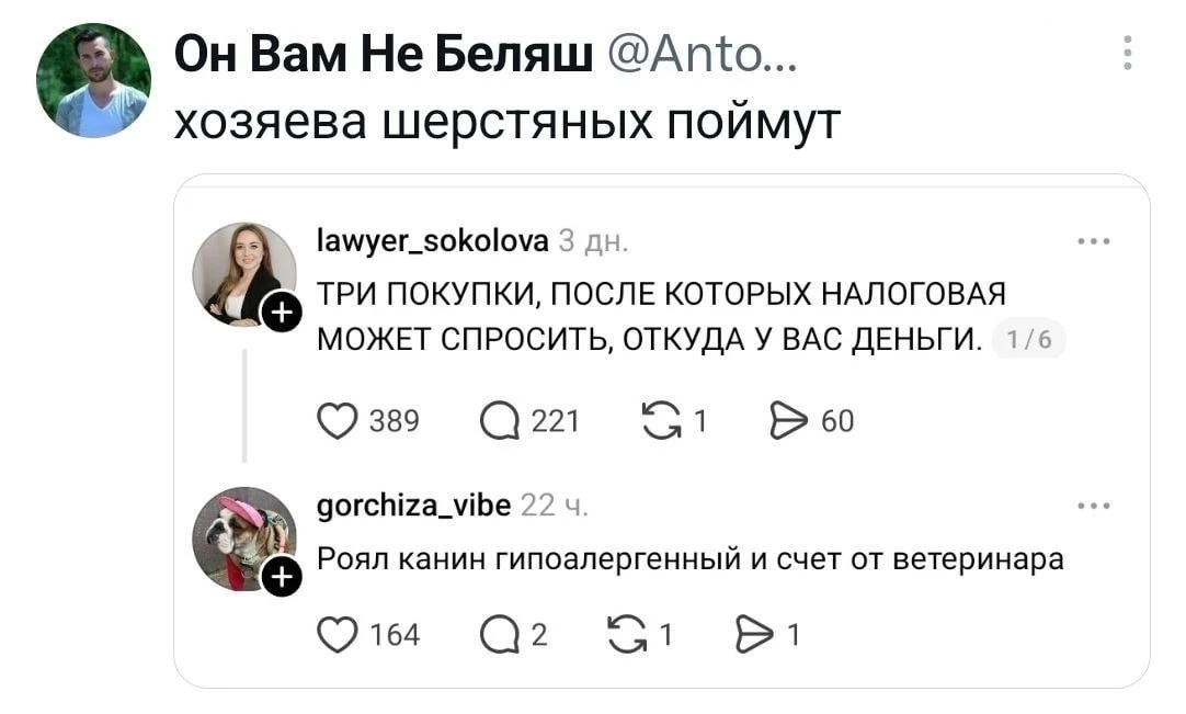 Подпишись на Кринжулю 👉🏻 в TG, в VK и в Макс
