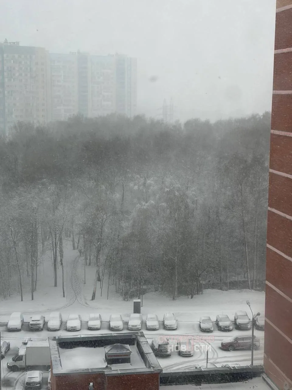 ❄️«Люблю зиму в начале мая».  Снег возвращается в центральную Россию!   Мощный снегопад прошлой ночь