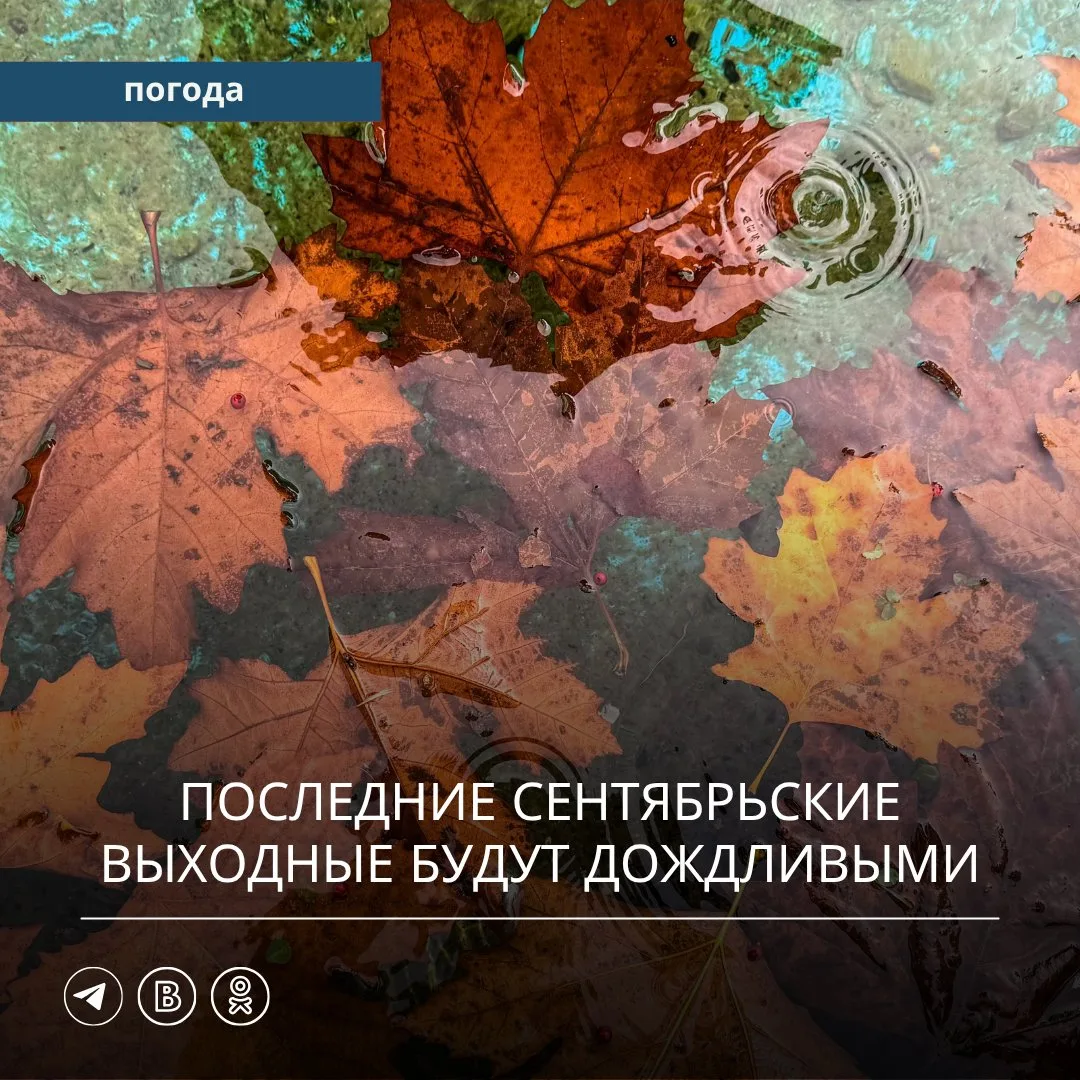 🌧️ В субботу, 26 сентября, Приморский край окажется под влиянием циклона и его атмосфе...
