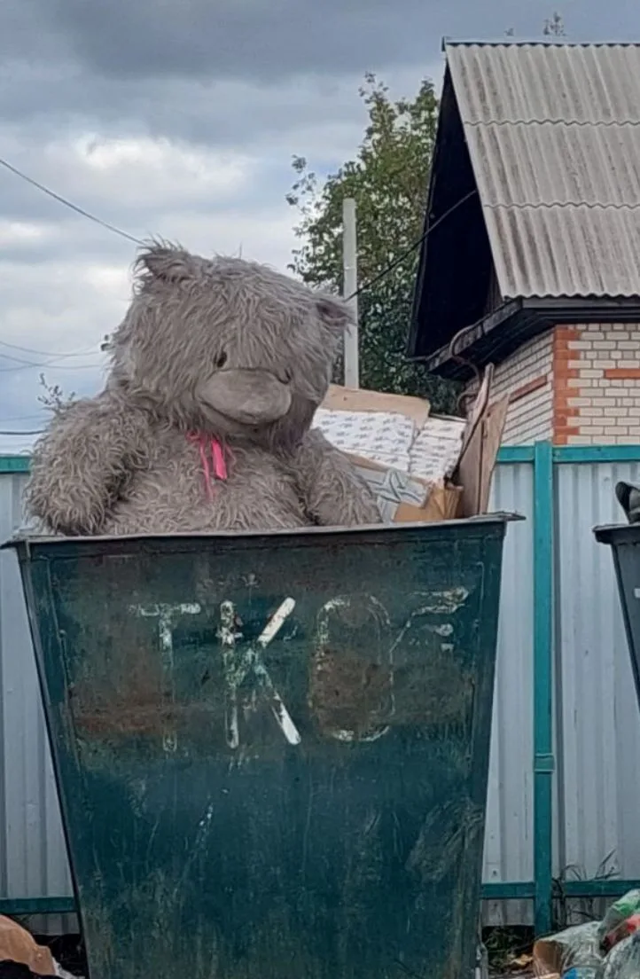 Новостные группы только и пестрят о том, что совсем близко вышли медведи, но я не думал...