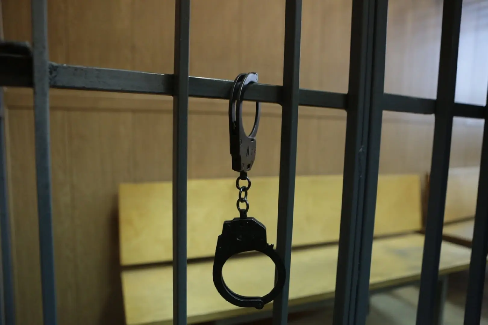В Кашире одели на мошенницу наручники — теперь она отправлена за решетку за дерзкое хищ...