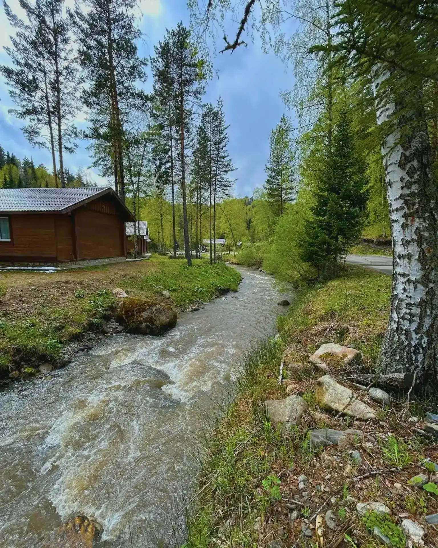 🌿 Белокуриха — курорт, на который едут за премиум-перезагрузкой здоровья!

В санаториях «Белокуриха