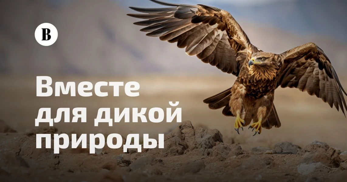 🐾 Камчатка, твой голос важен для дикой природы! 🌿