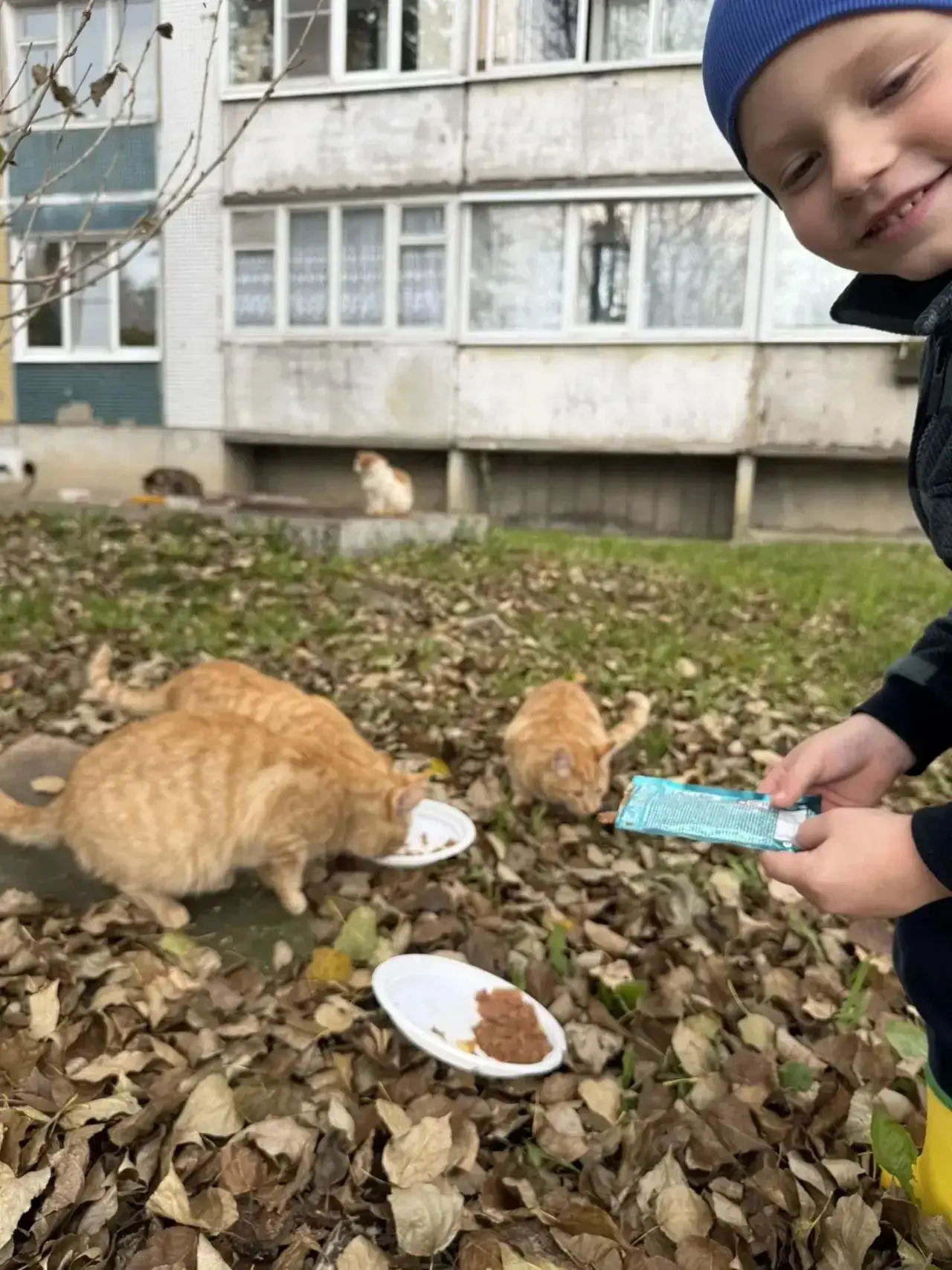 🐾 4 октября — Всемирный день защиты животных. Но для нас это не просто дата в календаре.