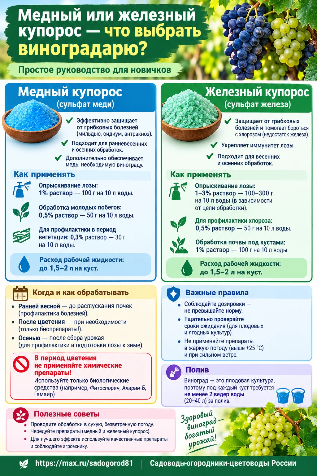 Медный или железный купорос — что выбрать виноградарю простое руководство для новичков