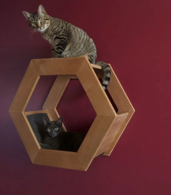 Полочка-лежанка для котеек 🐈