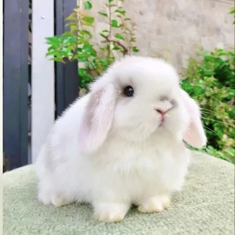 Друзья 😍 приглашаем Вас посетить