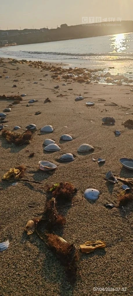 ✨🌞Доброе утро, друзья!   🌊Апрельское море врывается в нашу ленту.  Шум прибоя, звуки весны, утренний
