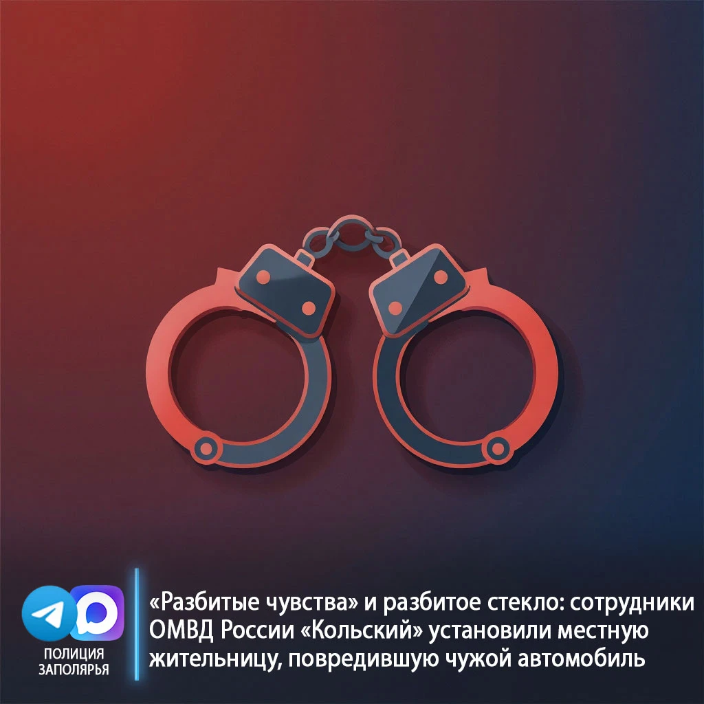 🚙 «Разбитые чувства» и разбитое стекло: сотрудники ОМВД России «Кольский» установили м...