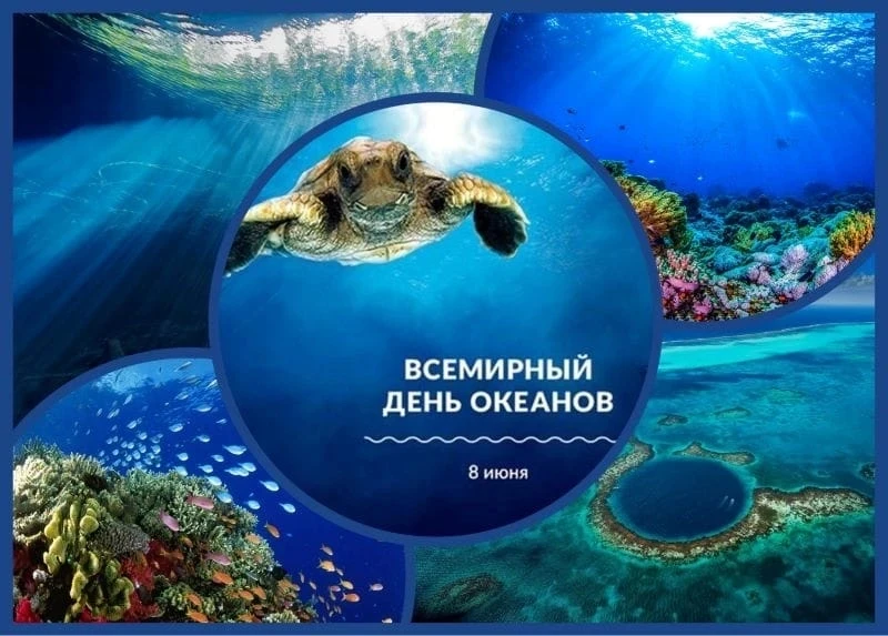 Всемирный день океанов: увлекательное путешествие в глубины Мирового океана