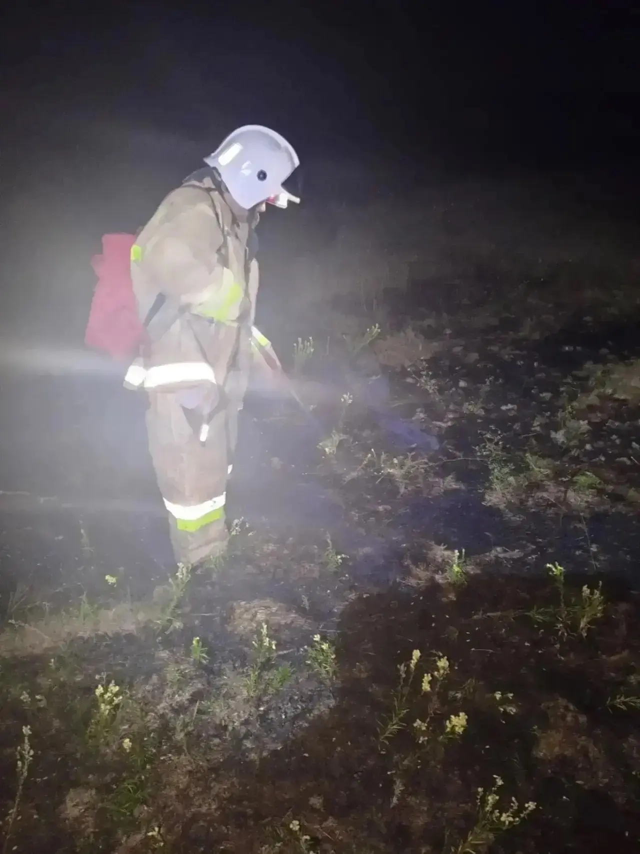 🔥 Герои среди нас: спасатели Вешенского подразделения не дали огню захватить Шолоховск...