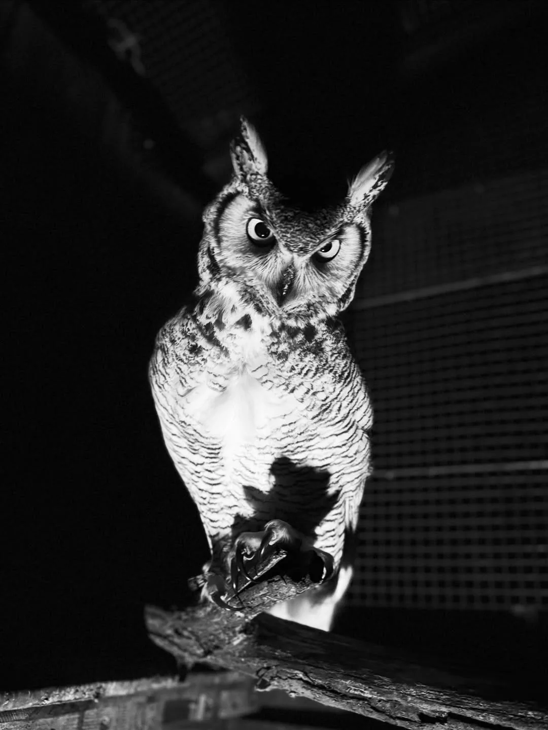 Я бы к нему ночью в гости не заходила 🤭

Совы Совушки🦉
👉 Не забудь ПОДПИСАТЬСЯ