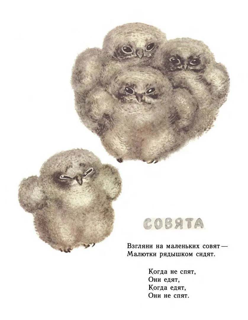 Мой типичный распорядок😂