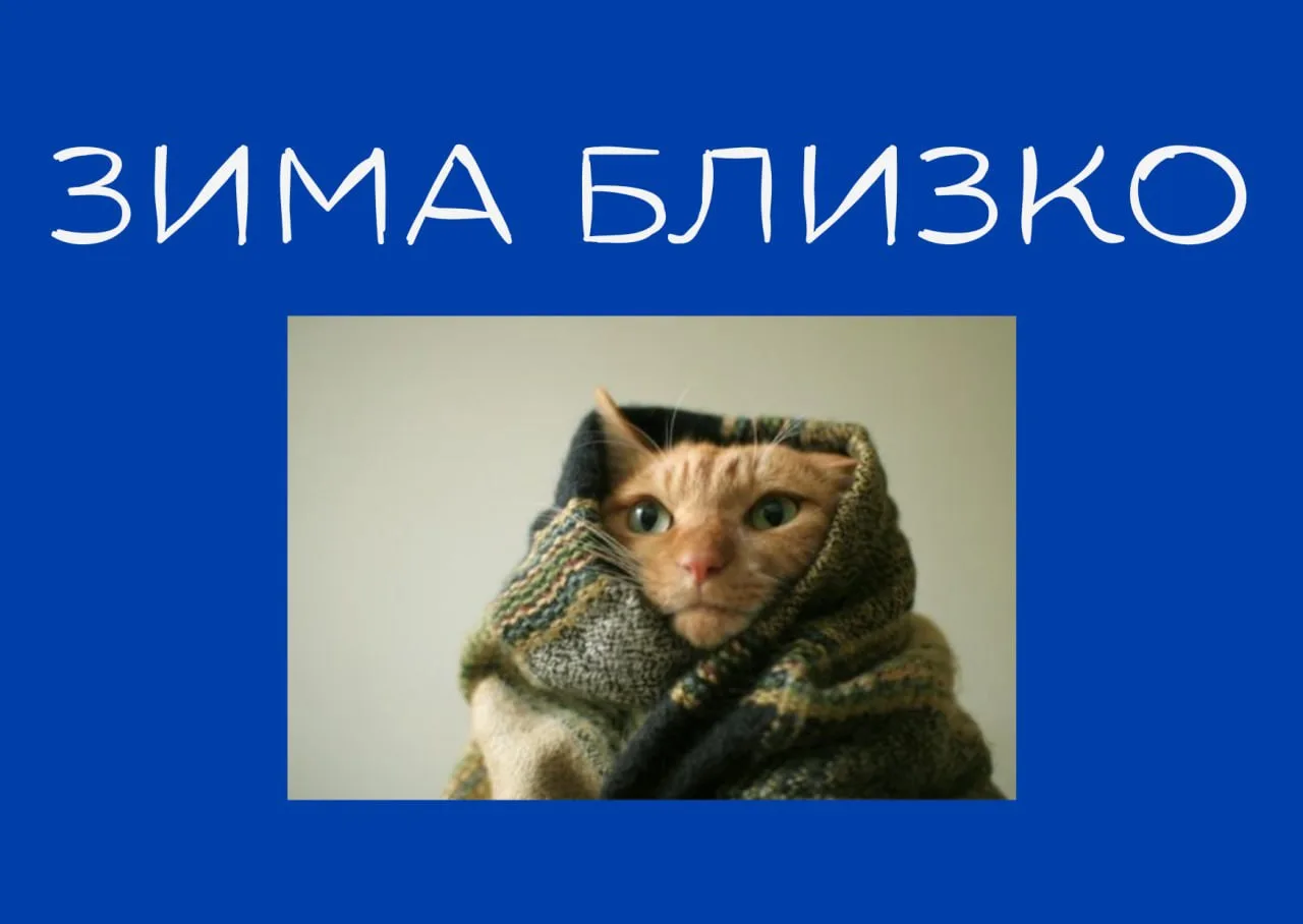 Поймать билеты на летний поезд в Петербург сейчас — реальная проблема, все давно раскуп...