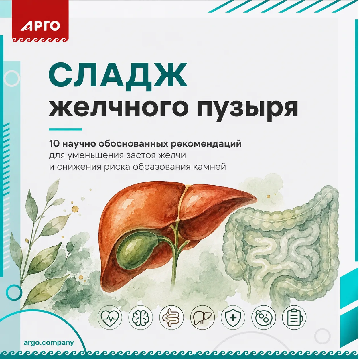 🍃 СЛАДЖ ЖЕЛЧНОГО ПУЗЫРЯ