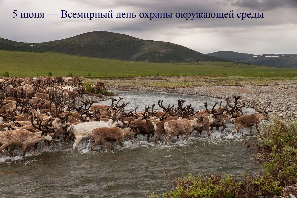 🌍 5 июня — Всемирный день охраны окружающей среды