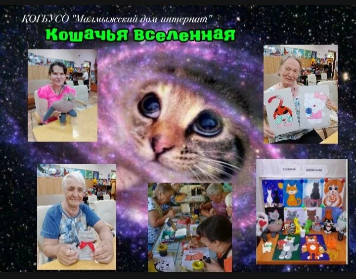 8 августа в мире отмечается день всеми любимых кошечек.🐱❤️ И мы решили не обходить это...